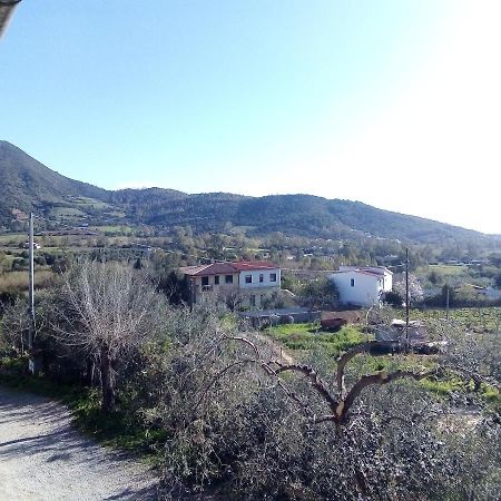 Appartamento Titina Jerzu Bagian luar foto