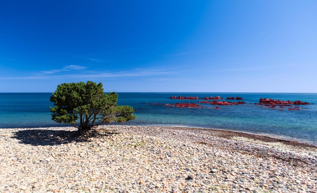 Appartamento Titina Jerzu Bagian luar foto